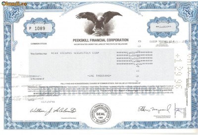 541 Actiuni -Peekskill Financial Corporation -seria P 1089 foto