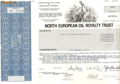 629 Actiuni -North European Oil Royalty Trust -seria SN 17316 foto