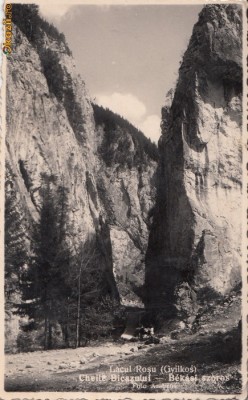 B14907 Mtii. Gherghiului pasul Bicazului Transilvania necirculata foto
