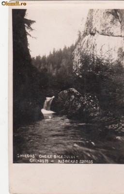 B9774 Cheile Bicazului lacul Ghilcos circulata 1930 foto