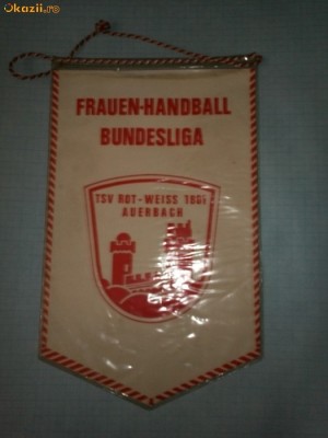 280 Fanion Handbal Feminin Bundesliga (Germania) foto