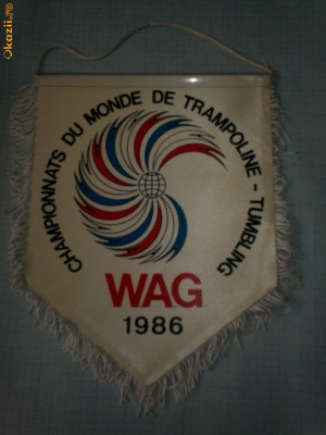 321 Fanion Campionatul Mondial de sarituri-trambulina(Franta -1986) foto