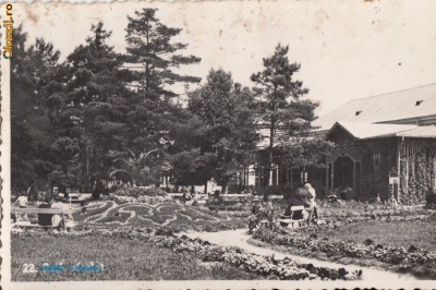 B13491 Baile Felix foto