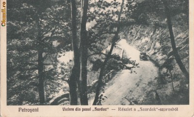 B11256 Petroseni Vedere din pasul Surduc foto
