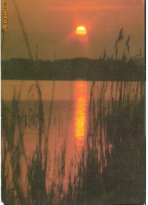 CP182-87 Apus de soare pe litoralul Marii Negre -circulata 1996 foto
