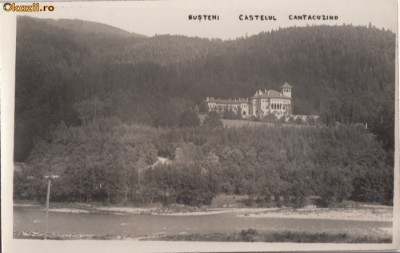 B11427 Busteni Castelul Cantacuzino foto