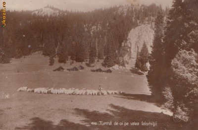 B11398 Orsova Cazan foto