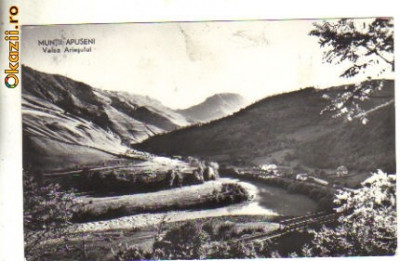 bnk cp muntii apuseni - valea ariesului - circulata 1962 foto