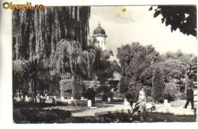 bnk cp radauti - vedere din parc - circulata 1963 foto