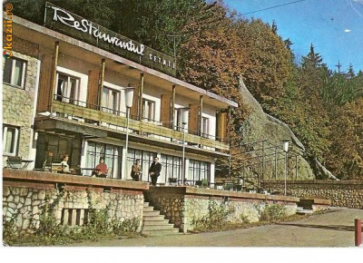 CP185-46 Risnov -Restaurantul Cetate -circulata 1983 foto