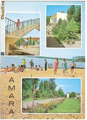 CP185-12 Amara -circulata 1977 foto