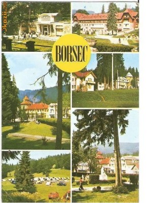 CP184-72 Borsec -circulata 1981 foto