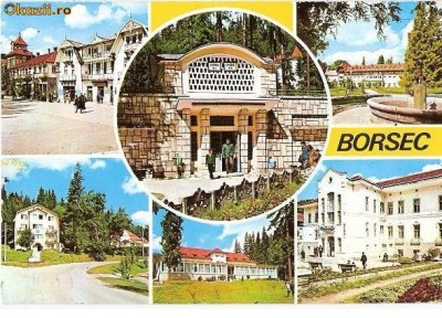 CP184-18 Borsec -circulata 1987 foto