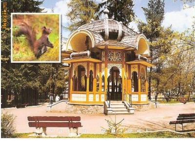 CP186-89 Parcul statiunii Vatra Dornei -Foisorul -carte postala necirculata foto
