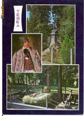 CP186-84 TEBEA -carte postala necirculata foto