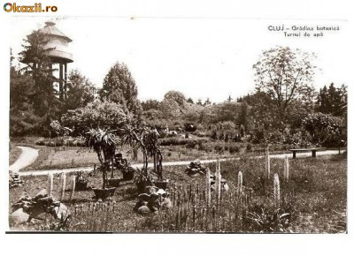 CP189-03 Cluj -Gradina botanica- Turnul de apa -RPR -carte postala circulata 1962 foto
