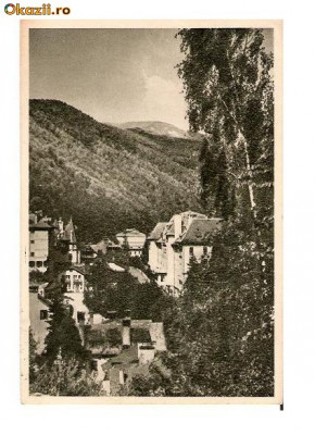 CP190-96 Sinaia -Vedere de pe Furnica -RPR -sepia -carte postala circulata 1955 foto