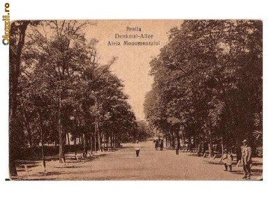 CP191-100 Braila.Denkmal-Allee -Aleia Monumentului -carte postala circulata 1930 , la Cernauti foto