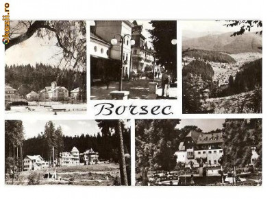 CP191-79 Borsec -carte postala circulata 1967 foto