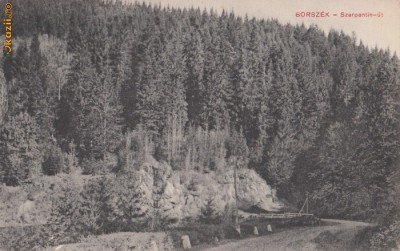B18501 Borsec Serpentine foto