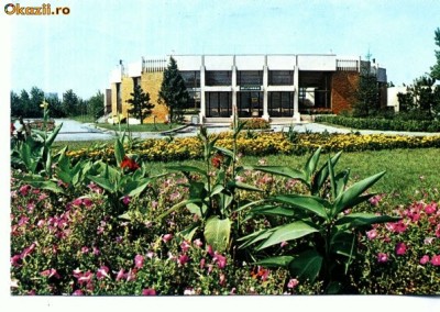 CP48-41-Constanta-Delfinariul foto