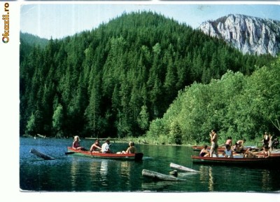 CP62-37--Lacu Rosu foto