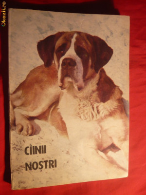 Buletin Documentar - CAINII NOSTRI -nr.5 -1987 foto