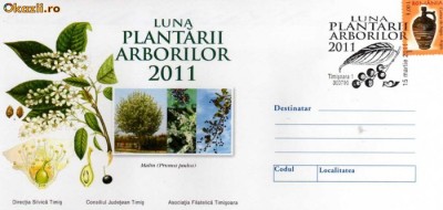 Luna padurii 2011 Timisoara foto