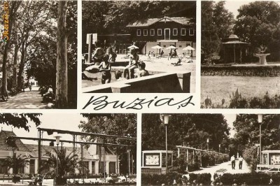 S12982 Buzias circulata foto