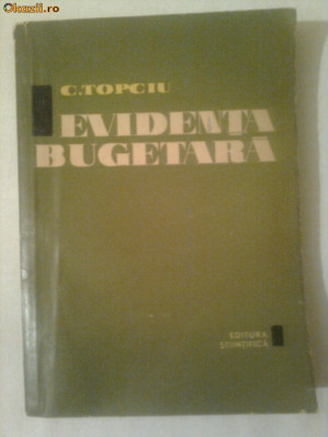 EVIDENTA BUGETARA - C. TOPCIU foto