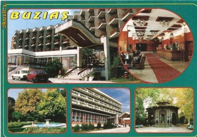 S12984 Buzias circulata foto