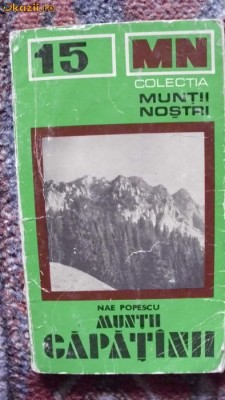 MUNTII NOSTRI -15-MUNTII CAPATANII foto