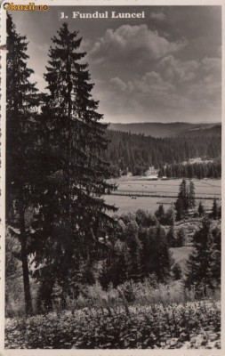 B19489 Fundul Luncei Necirculata foto
