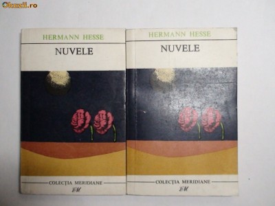 Hermann Hesse NuvelE 22/0 foto