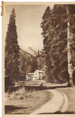 ilustrata-Sinaia-Foisorul foto