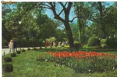 carte postala(ilusrata)-GRADINA CISMIGIU foto