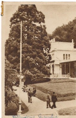 carte postala(ilustrata)-BAILE HERCULANE-Vedere din parc foto