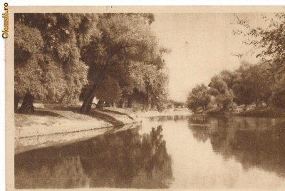 carte postala(ilustrata)-SIGHET-Raul Iza foto