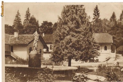 carte postala(ilustrata)-BORSEC-Vedere din parc foto