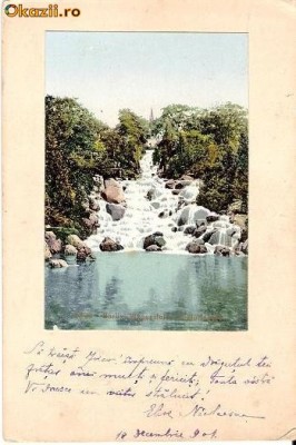 V FOTO 90 Cascada - scrisa de Elise Nicolaescu, la 10 dec 1901 -catre D-ra Zoica Nicolaescu,licentiata in litere si filozofie, Buzeu (Buzau) foto