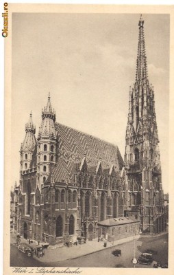 VIENA foto
