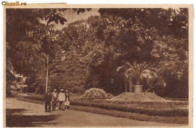 CALIMANESTI-Parcul(2) foto