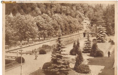SLANIC-MOLDOVA-Parcul Bailor Centrale foto