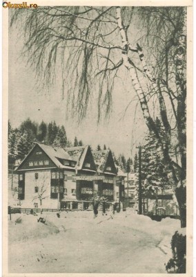 PREDEAL-Vedere foto