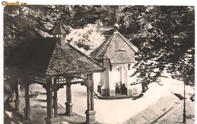 GOVORA-Vedere foto