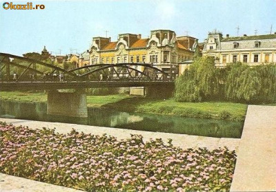 CP196-43 Lugoj. Malul Timisului si podul (jud. Timis) -carte postala, necirculata -starea care se vede foto