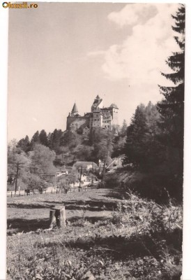 carte postala-Castelul Bran foto