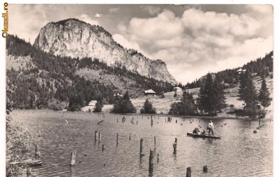 carte postala-LACUL ROSU-Vedere spre Suhard foto