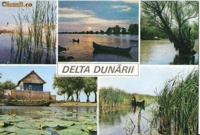 CP197-96 Delta Dunarii -scrisa -carte postala, necirculata -starea care se vede foto