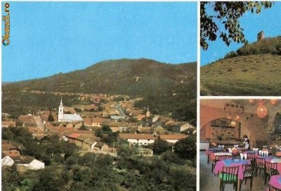 CP198-66 Mehadia - jud. Caras-Severin -Interior al restaurantului cooperatiei de consum ,,Mehadia&amp;quot; -carte postala, necirculata -starea care se vede foto